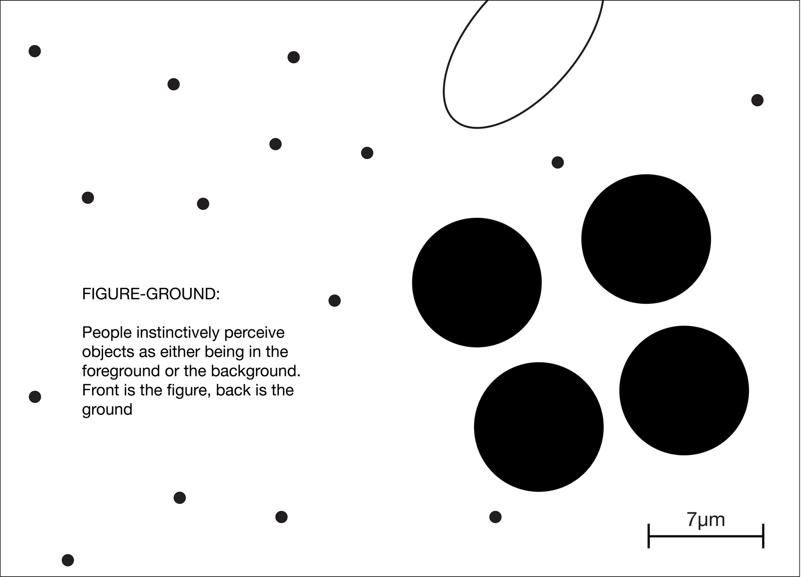 dettaglio con cellule e descrizione della legge della figura-sfondo della gestalt